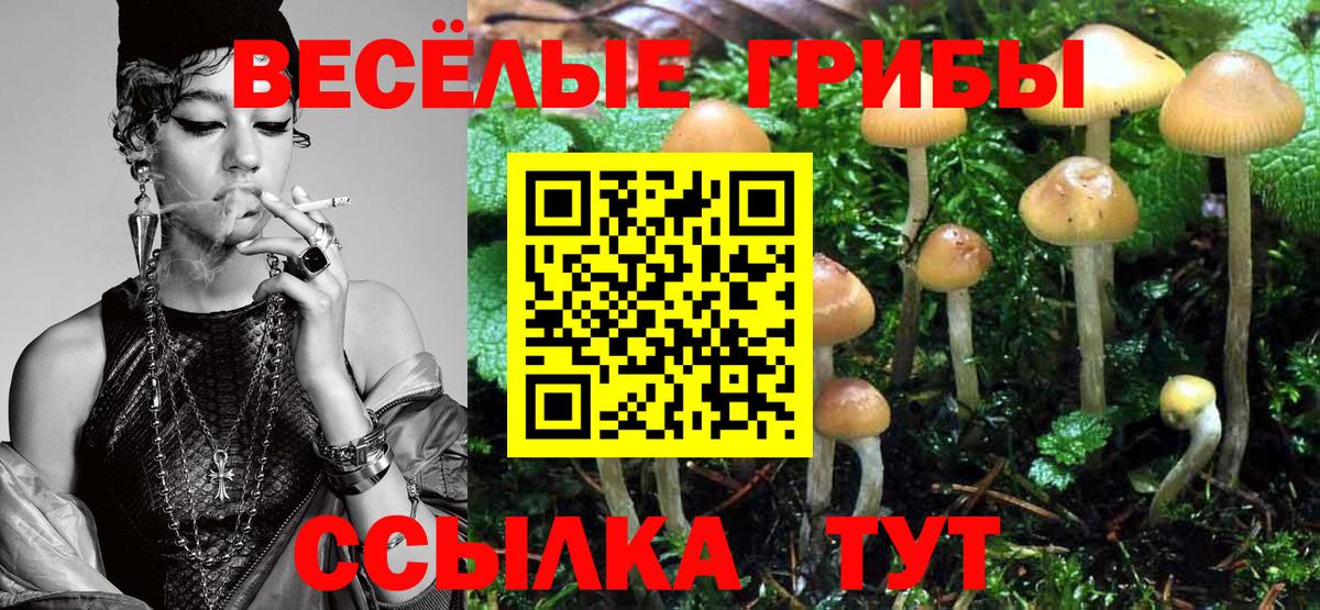 Псилоцибиновые грибы ЛСД Кашира