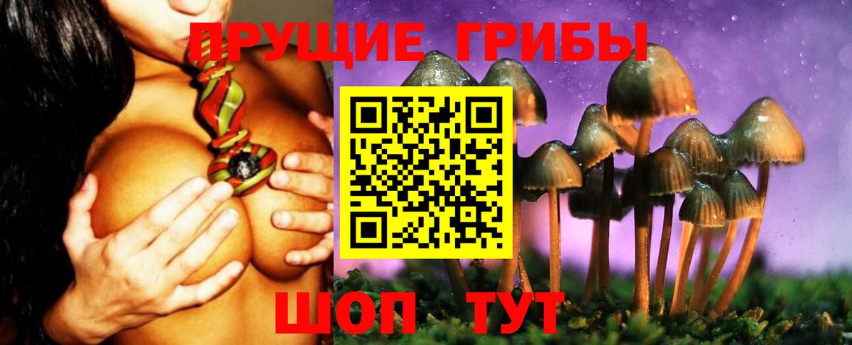 купить   Вход с VPN  Кашира  Псилоцибиновые грибы мухоморы  Псилоцибиновые грибы Cubensis 